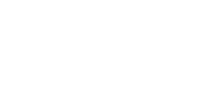 Logo de VIPASA